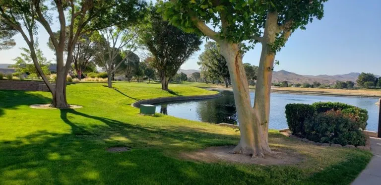 26987 Lakeview Dr. Helendale gold course image
